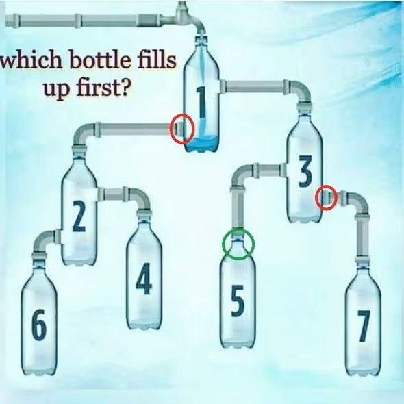 Đời sống - Chỉ những thiên tài IQ cao mới đoán được chai nào sẽ đầy nước trước (Hình 3).