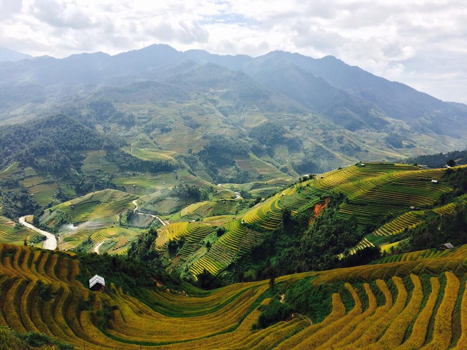 Đời sống - Lỗi hẹn “mùa vàng”... (Hình 4).