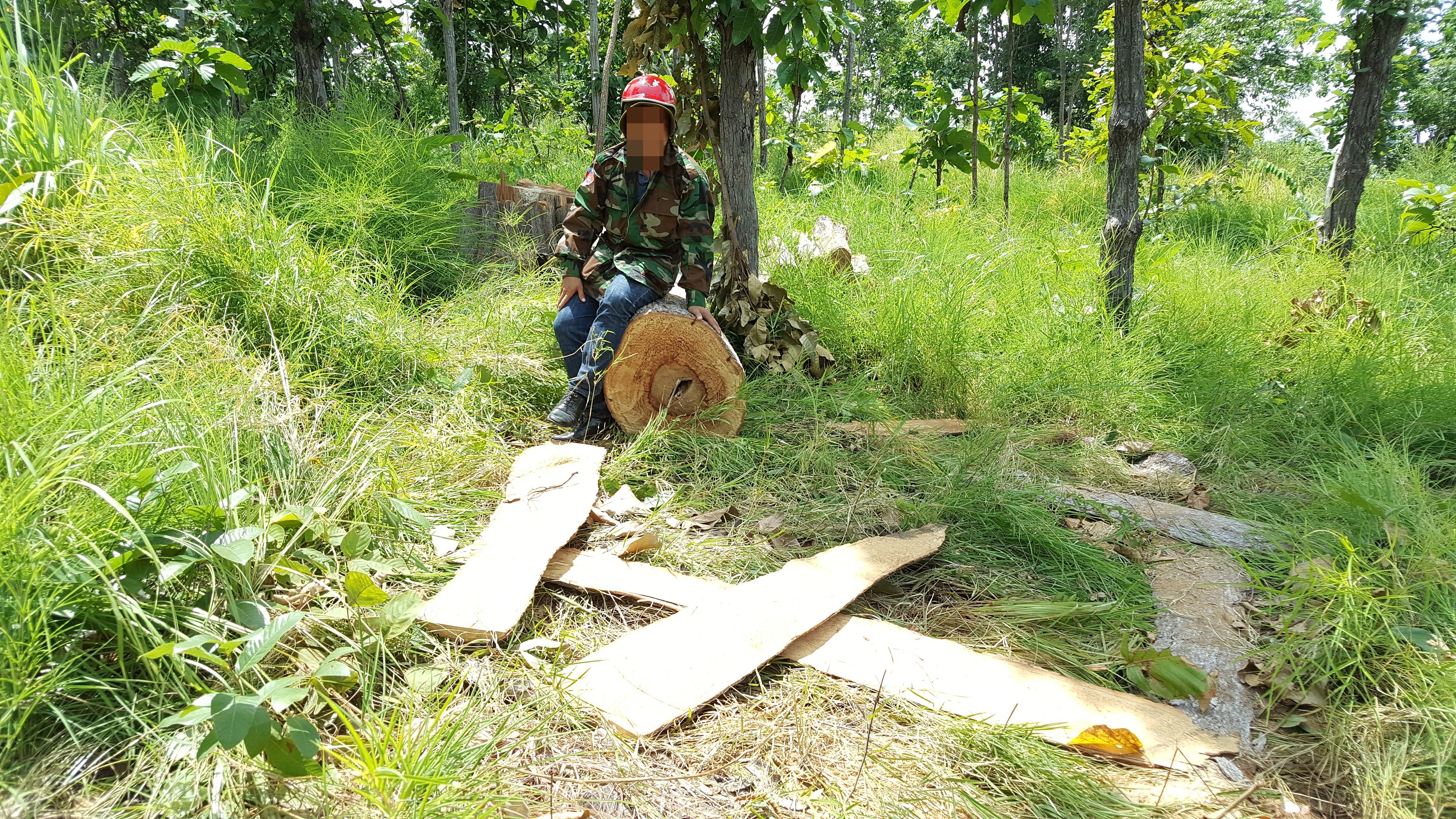 X&atilde; hội - Đắk Lắk: Cận cảnh rừng ph&ograve;ng hộ Bu&ocirc;n Đ&ocirc;n bị &ldquo;bức tử&rdquo; (H&igrave;nh 3).