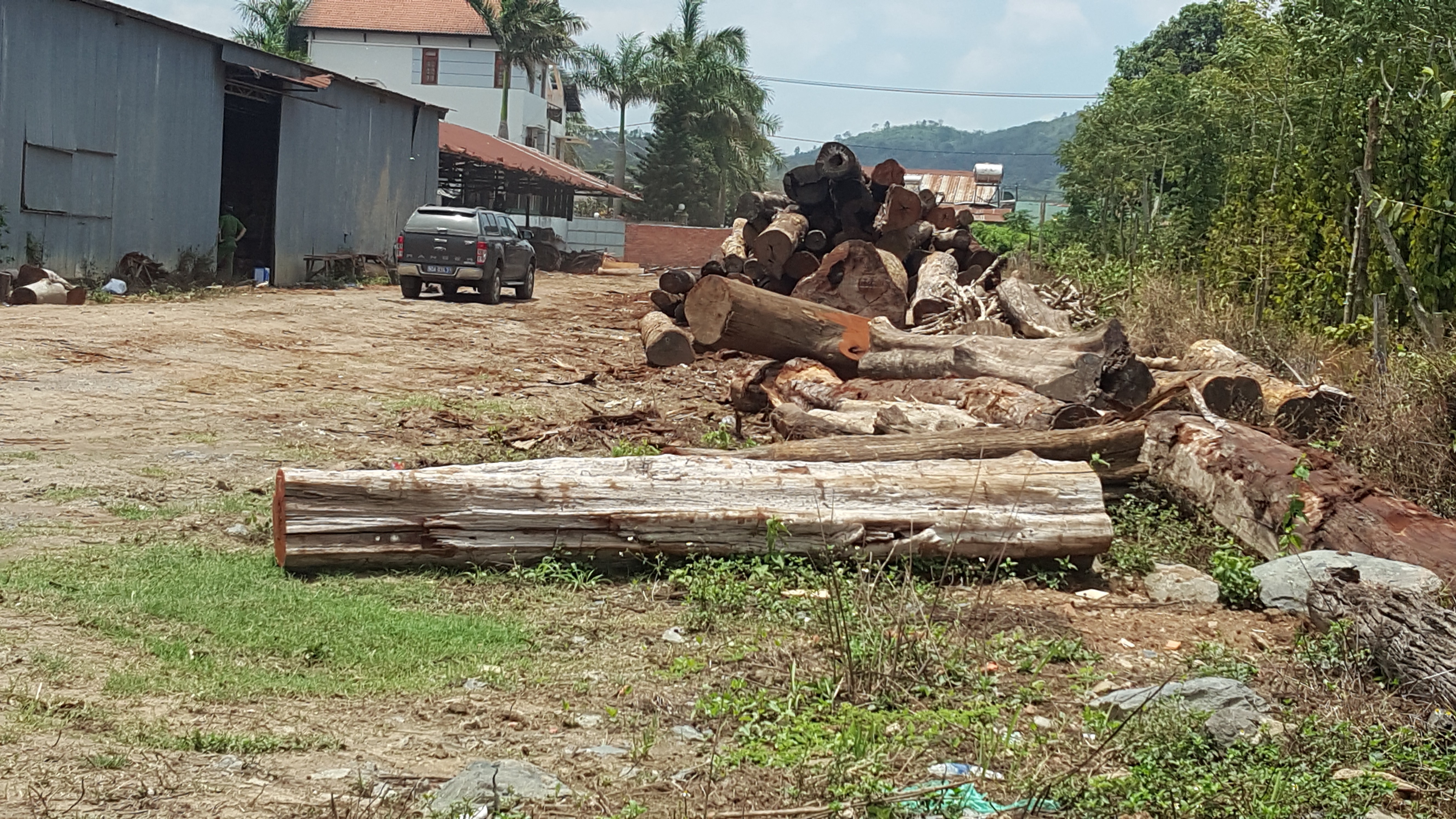 Đắk Nông: Truy nã 2 đối tượng trong đường dây gỗ lậu Phượng 'râu'