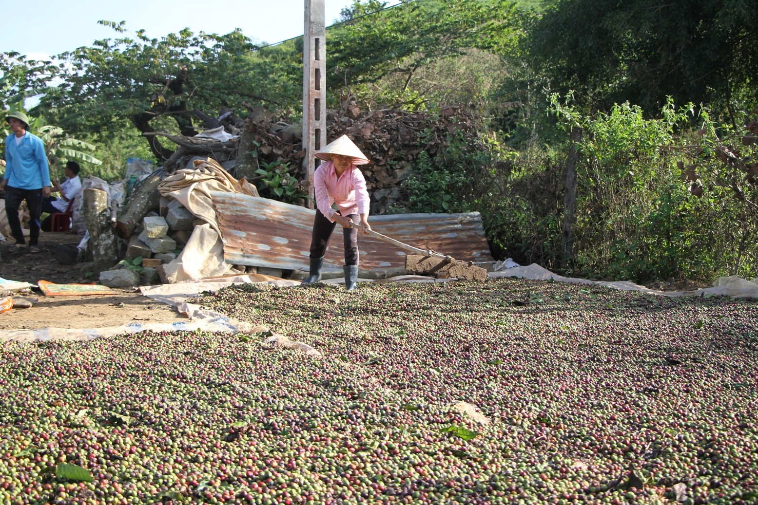 Dân sinh - Nghịch lý: Gần 20 năm không có điện sinh hoạt dù sống gần nhà máy thủy điện (Hình 5).