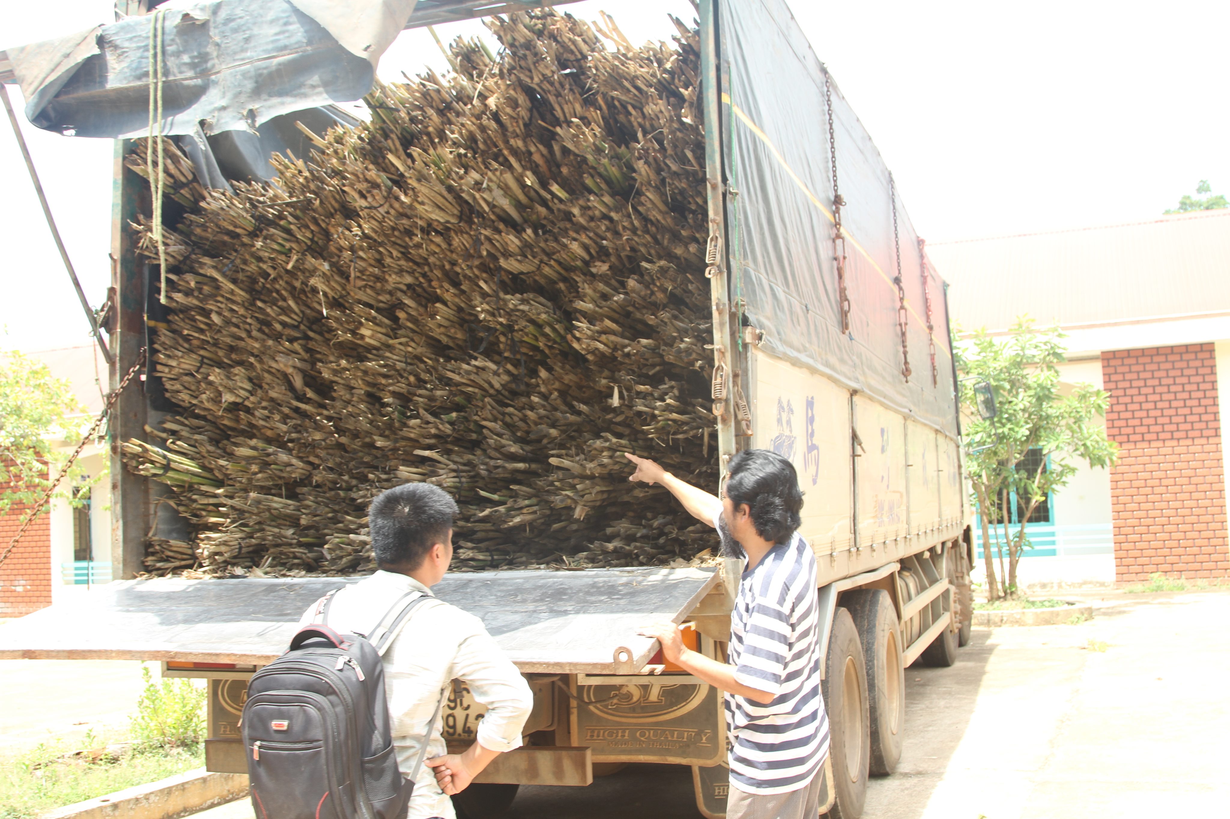 Hồ sơ điều tra - Yêu cầu kiểm điểm hạt Kiểm lâm tạm giữ xe của dân 10 ngày không lý do? (Hình 2).