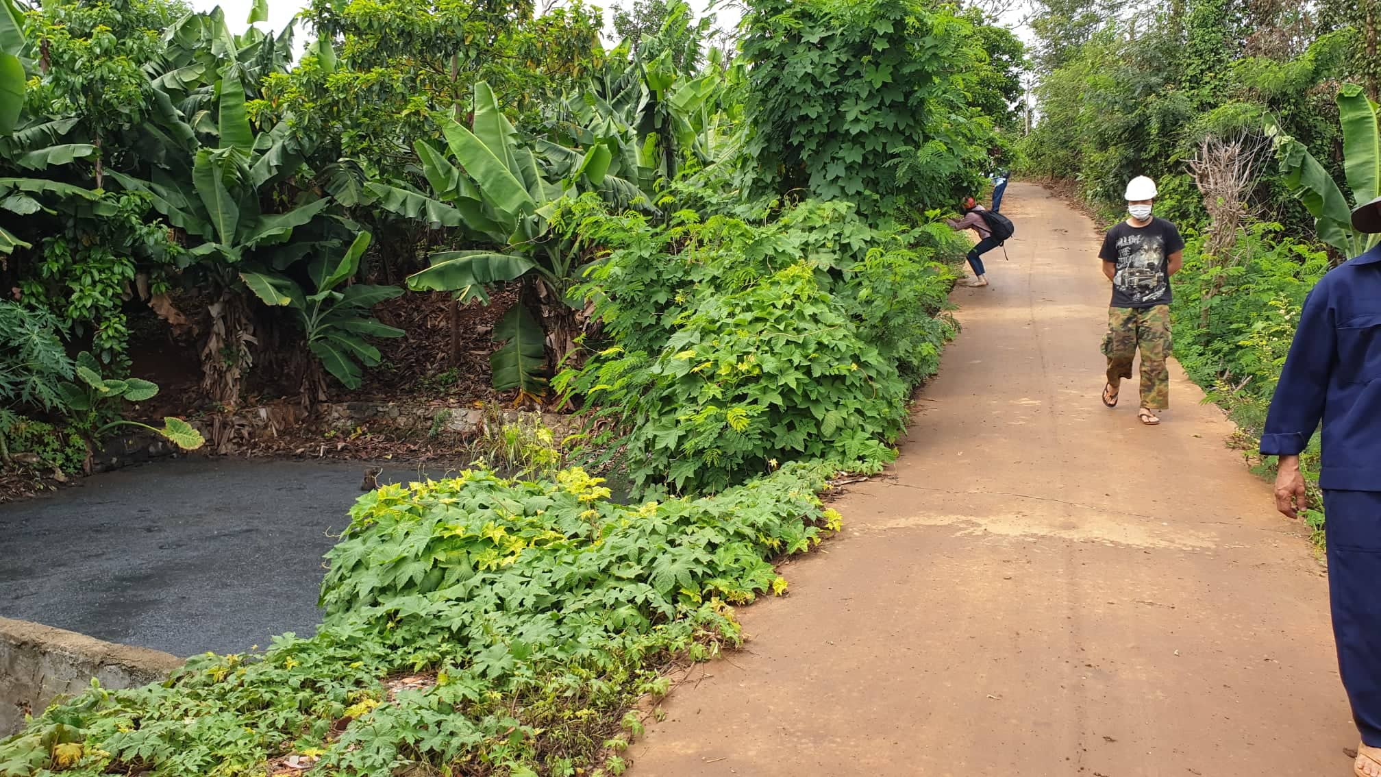 Môi trường - Trang trại ô nhiễm bủa vây, dân than trời vì đi ngủ phải đeo khẩu trang (Hình 2).