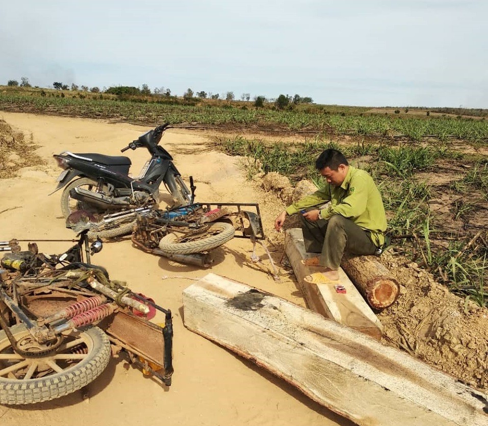 An ninh - Hình sự - Vây bắt nhóm đối tượng vận chuyển gỗ lậu, một Trạm Phó bị đánh thương tích 