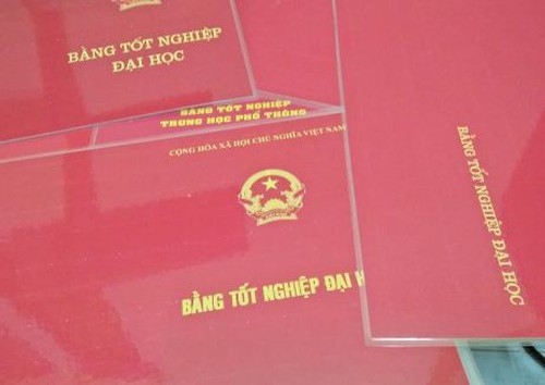 An ninh - Hình sự - Phát hiện nữ bác sĩ dùng bằng giả để hành nghề ở Đồng Nai