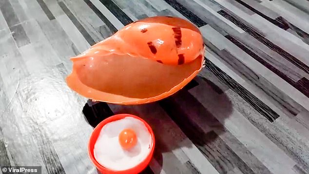 Dân sinh - Ăn ốc luộc vô tình phát hiện viên ngọc màu cam tiền tỉ (Hình 3).