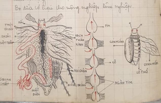 Đời sống - Quyển vở Sinh học hơn 60 năm trước khiến dân mạng 'ngả mũ thán phục' (Hình 10).