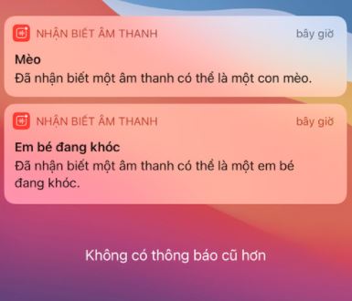 Thủ thuật - Tiện ích - Cách bật tính năng phát hiện tiếng em bé khóc trên iPhone (Hình 3).