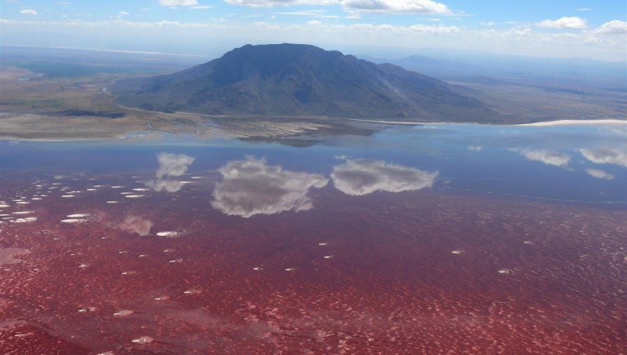 Đời sống - Bí ẩn hồ nước màu đỏ như máu, khiến các sinh vật hóa 'xác ướp' (Hình 4).