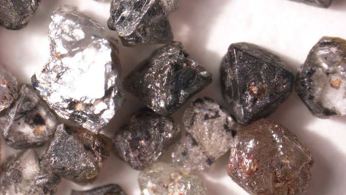 Đời sống - Hàng loạt xác sinh vật hóa thành các viên kim cương quý nhất thế giới