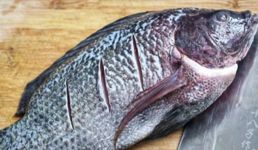 Đời sống -  5 loại cá 'bẩn nhất chợ', chẳng những không ngon mà còn gây bệnh (Hình 2).