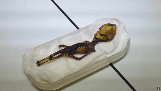 Đời sống - Giải mã bí ẩn bộ xương tí hon trông giống người ngoài hành tinh 
