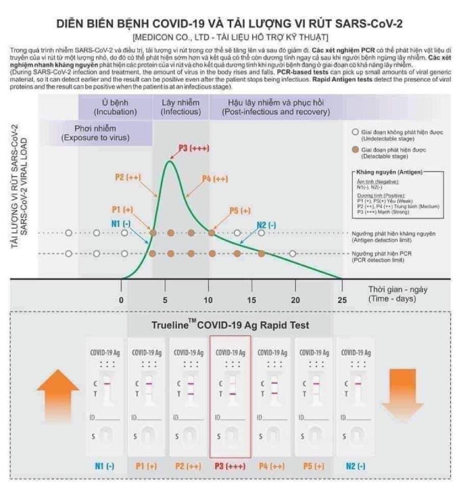 Đời sống - Cách tiết kiệm test nhanh Covid-19 khi tự xét nghiệm tại nhà