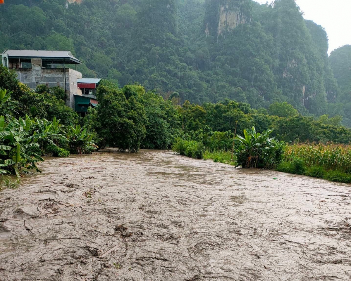 Xã hội - Bản tin 6/7: Chiều nay làm thủ tục dự thi THPT; 4 người ở Cao Bằng bị lũ cuốn trôi