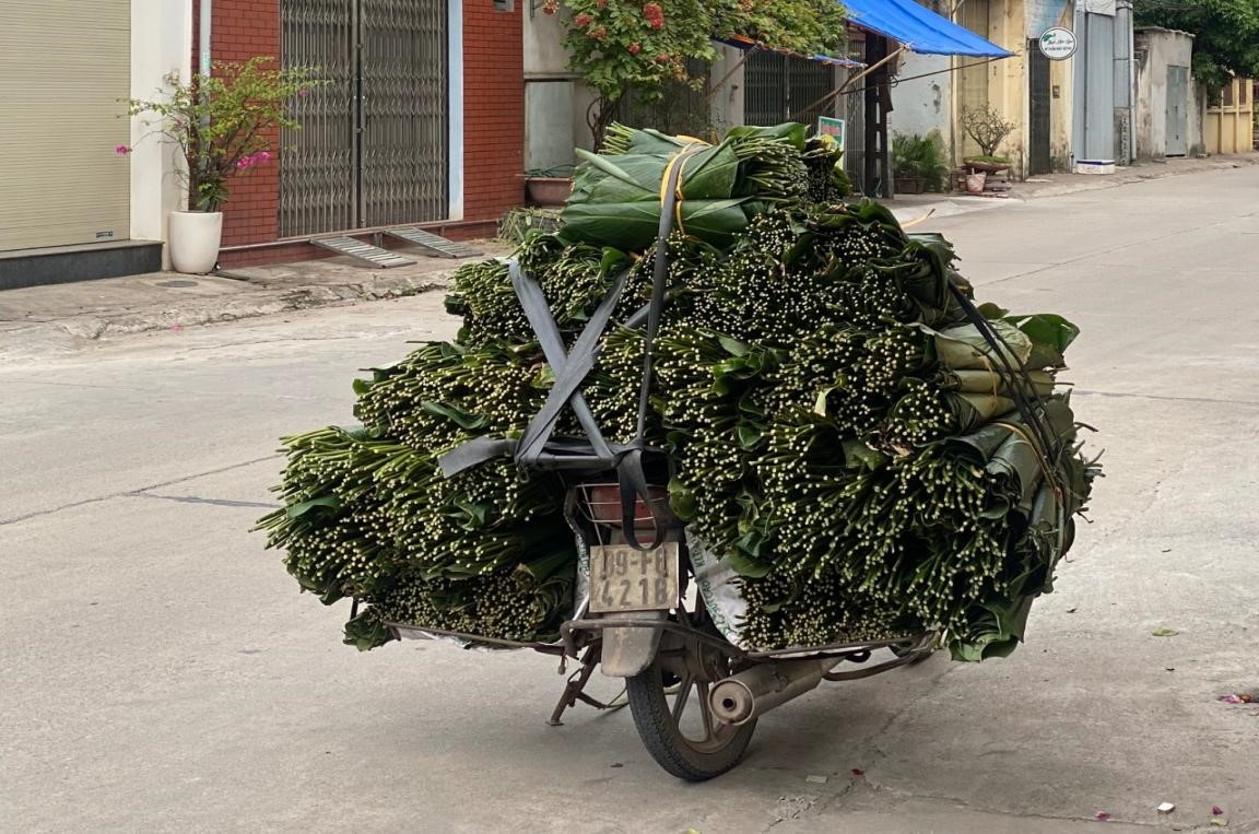 Xã hội - Ngôi làng gói trọn “tinh hoa đất trời”