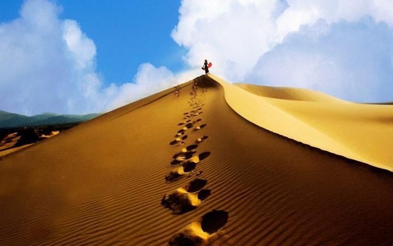 Đời sống - Khám phá cồn cát Quang Phú – 'sa mạc thu nhỏ' giữa lòng Quảng Bình (Hình 4).
