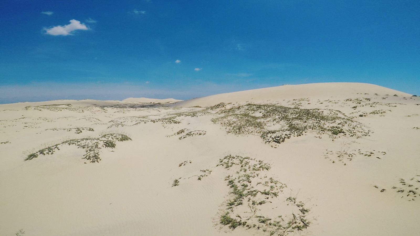 Đời sống - Khám phá cồn cát Quang Phú – 'sa mạc thu nhỏ' giữa lòng Quảng Bình (Hình 3).