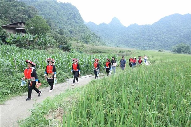 Kinh tế - Đẩy mạnh phát triển du lịch nông nghiệp, nông thôn