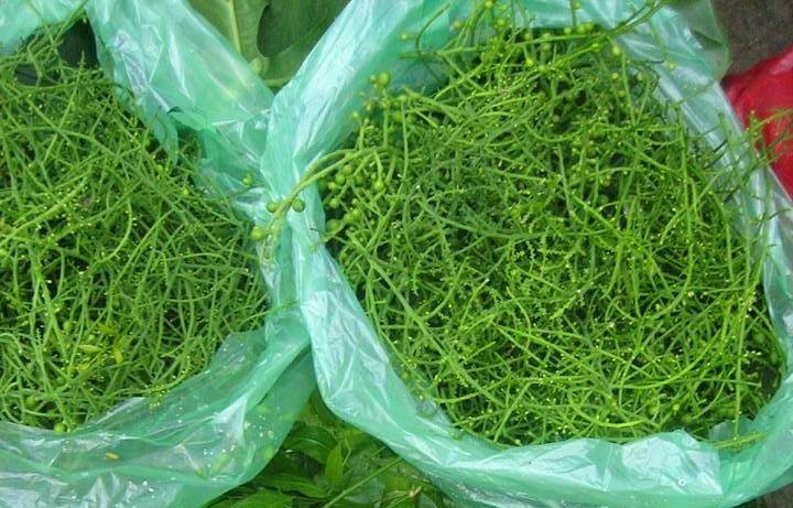 Đời sống - Loại hoa rừng giá đến 300.000 đồng/kg, là đặc sản ít người biết (Hình 3).