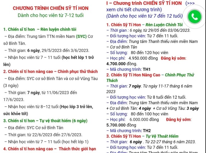 Giáo dục - Tp.HCM: Phụ huynh đôn đáo tìm các khóa học hè cho con (Hình 2).