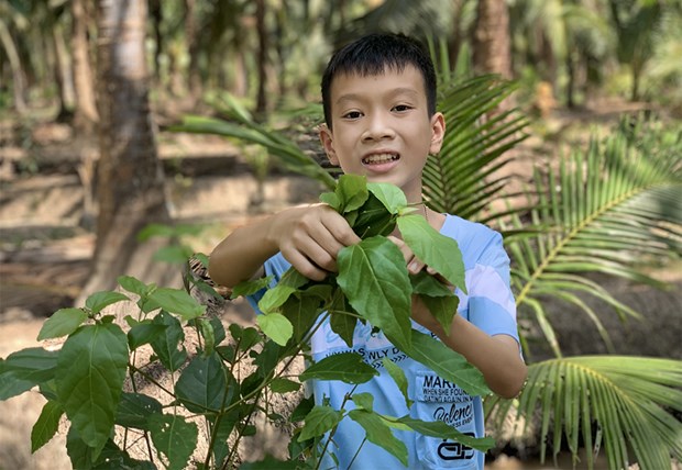 Giáo dục - Học sinh Việt Nam giành giải Ba quốc tế cuộc thi Viết thư UPU