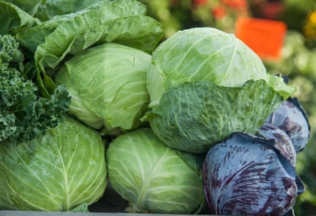 Đời sống - Những loại rau bị phun hóa chất nhiều nhất chợ, cẩn trọng khi mua (Hình 5).