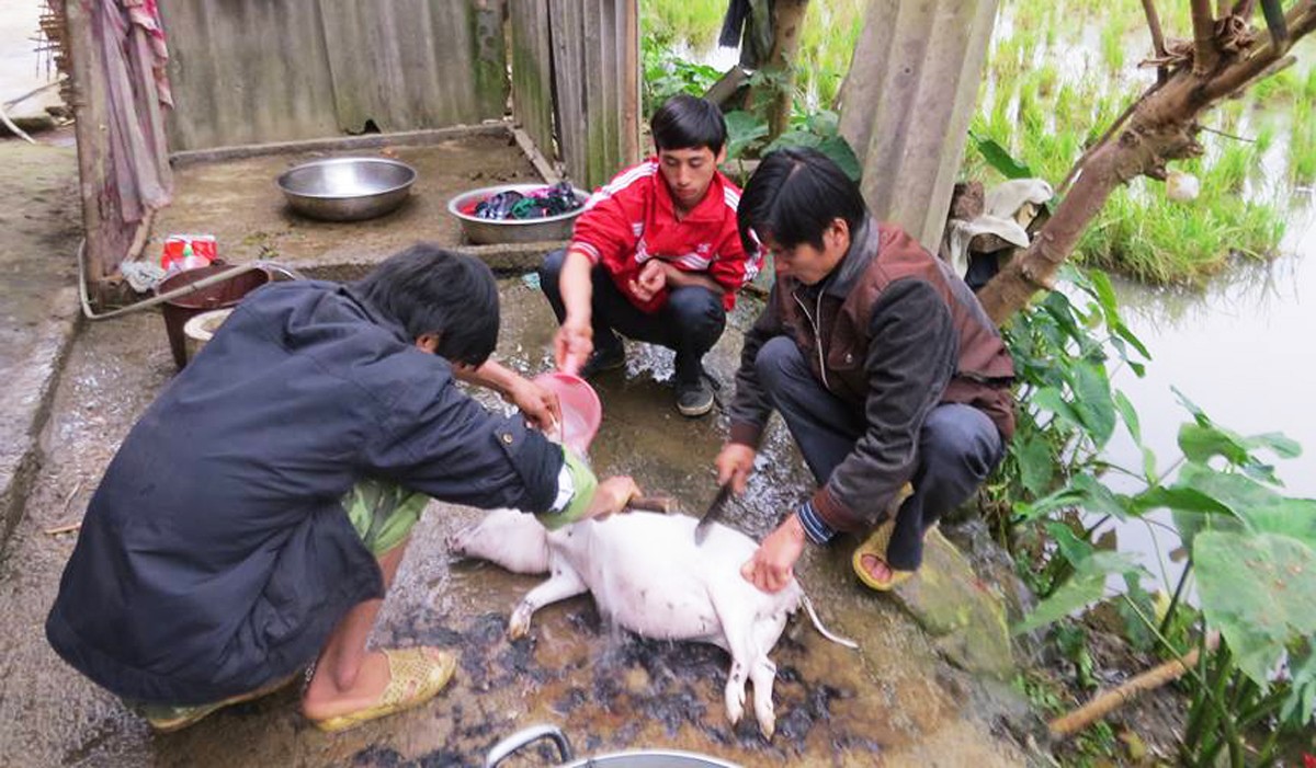 Dân sinh - Tết lạ của người Thủy dưới chân núi Pù Chậu (Hình 2).