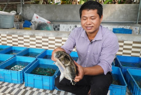 Đời sống - Anh nông dân lãi tiền tỷ mỗi năm nhờ nuôi con đặc sản 'thích phơi nắng'