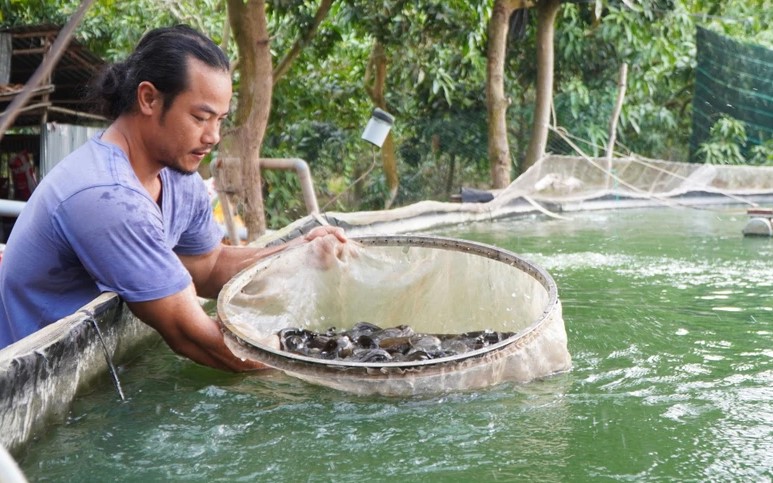 Đời sống - Anh nông dân kiếm hàng tỷ đồng nhờ nuôi con 'đặc sản” trong bể lót bạt