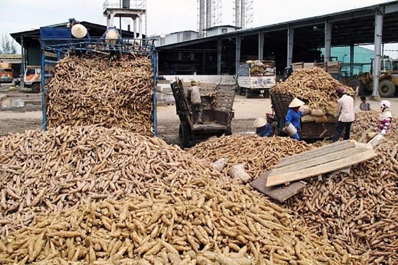 Kinh tế - Trung Quốc vẫn là thị trường xuất khẩu sắn lớn nhất của Việt Nam