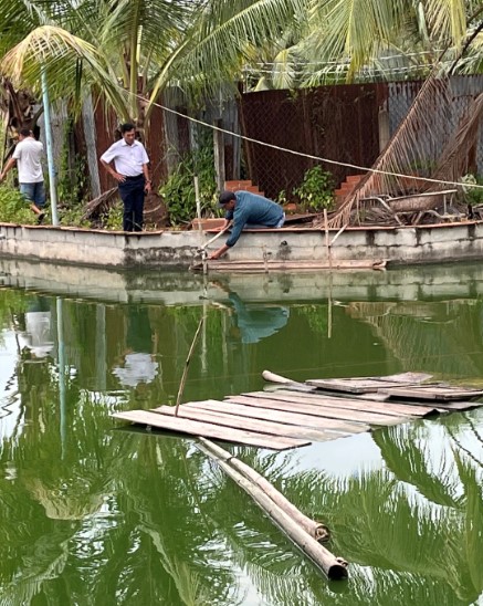 Đời sống - Anh nông dân lãi 400 triệu/năm nhờ nuôi con “tối ngày lặn ngụp dưới ao' (Hình 2).