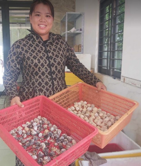 Đời sống - Chị nông dân cứ 1 tháng đút túi 100 triệu đồng nhờ nuôi con “siêu mắn đẻ” (Hình 2).