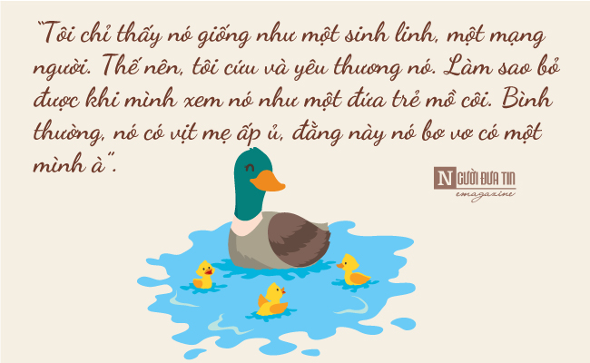 Tình mẫu tử kỳ lạ giữa người phụ nữ bán trái cây với vịt con biết làm nũng