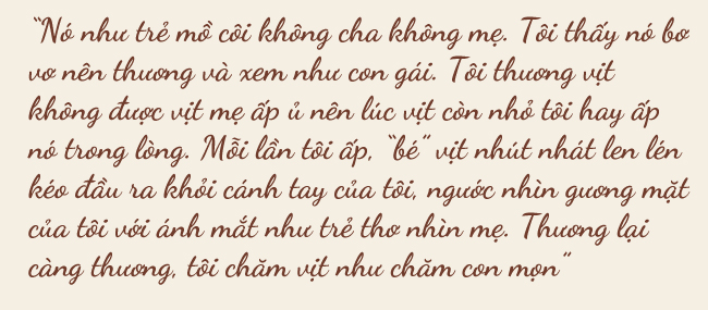 Tình mẫu tử kỳ lạ giữa người phụ nữ bán trái cây với vịt con biết làm nũng