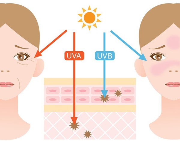 Sức khỏe - Chỉ số tia UV là gì? Chúng gây tác hại như thế nào đến sức khỏe con người? (Hình 3).