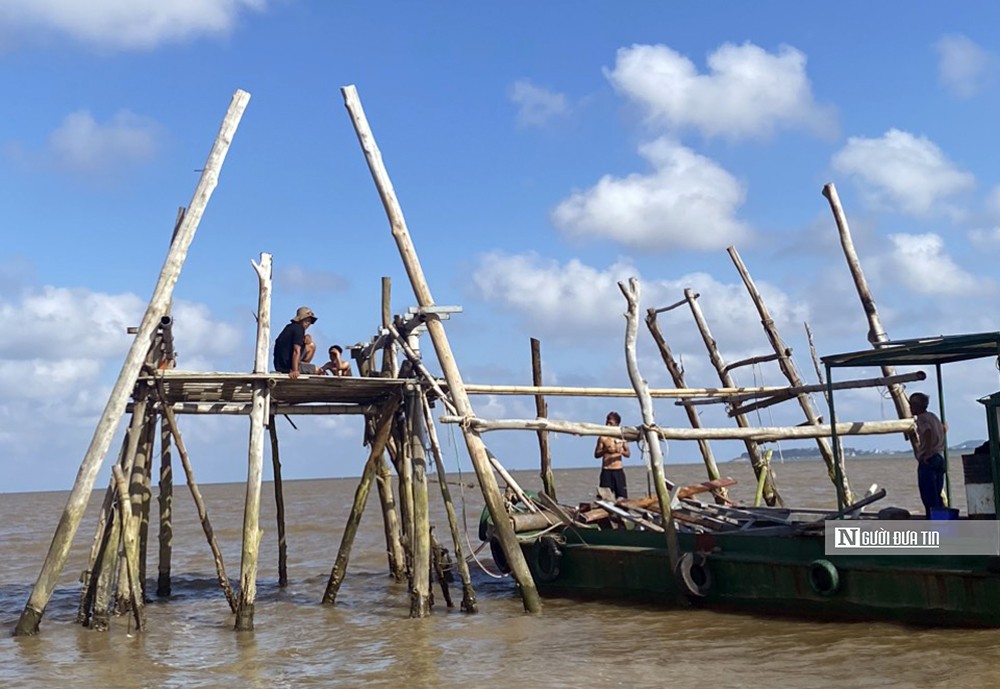 Sự kiện - Hải Phòng: Di dời, giải tỏa hơn 260 ha nuôi ngao không phép