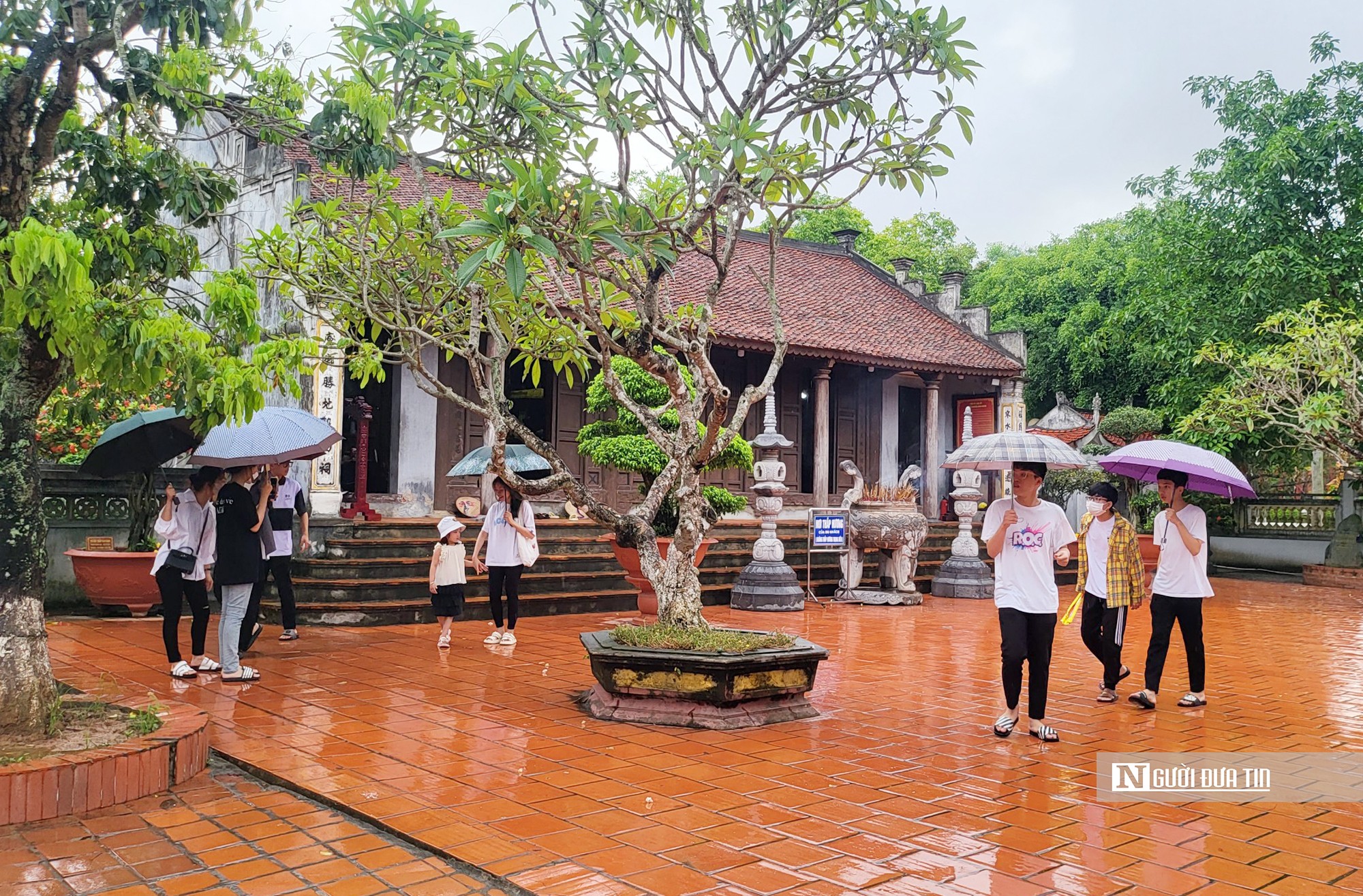 Văn hoá - Hải Phòng: Thành lập Ban vận động UNESCO vinh danh Trạng Trình (Hình 2).