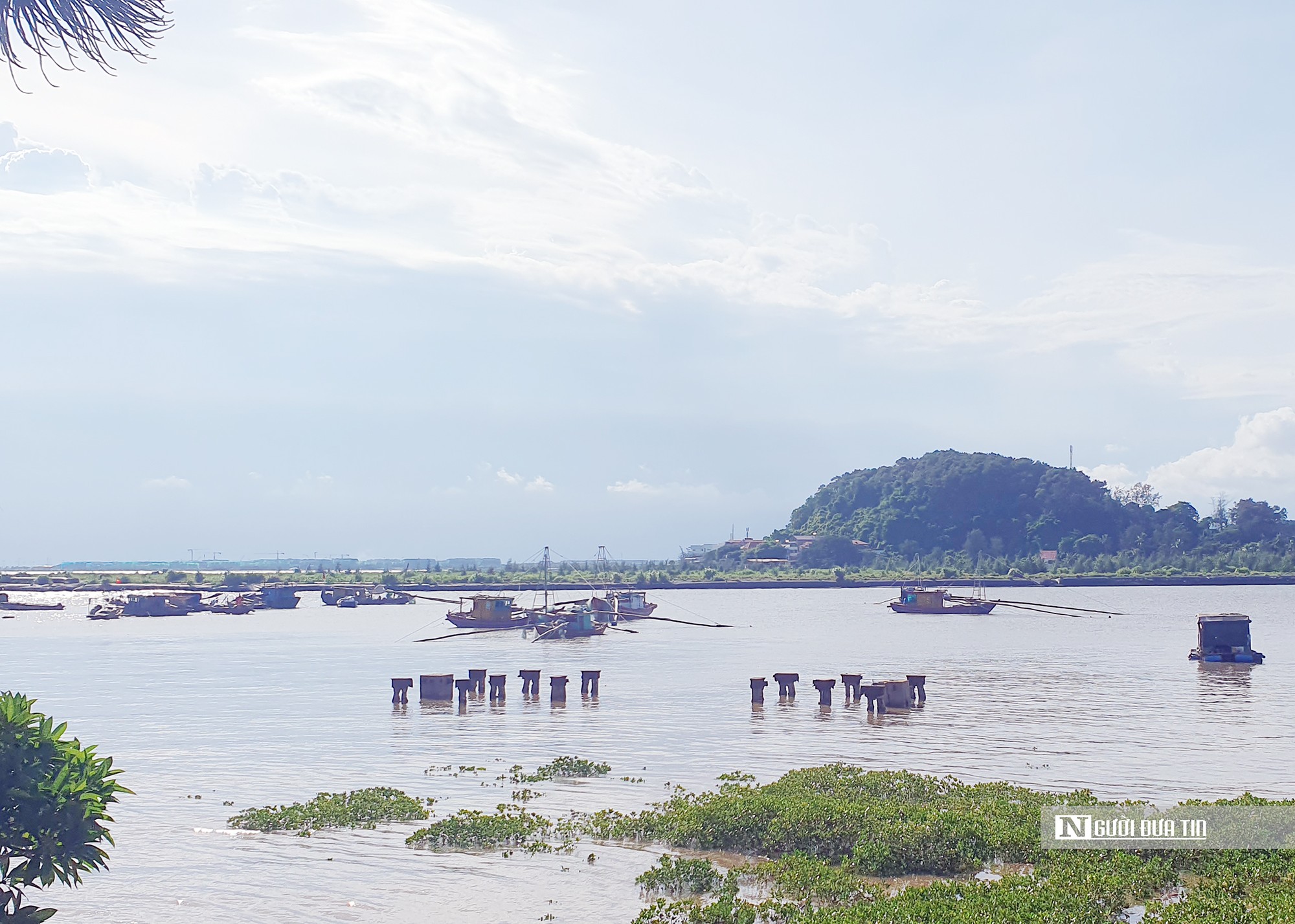 Văn hoá - Hải Phòng: Tri ân, tưởng nhớ các chiến sĩ tàu không số (Hình 2).