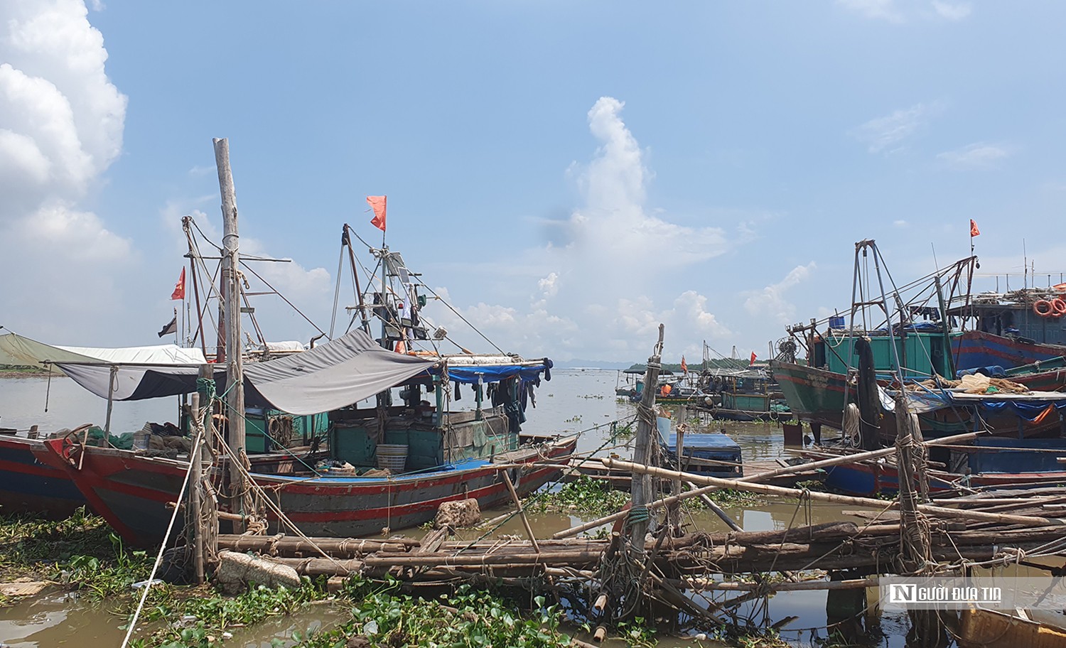 Dân sinh - Hải Phòng: Được mùa tép biển, ngư dân kiếm tiền triệu mỗi ngày (Hình 2).