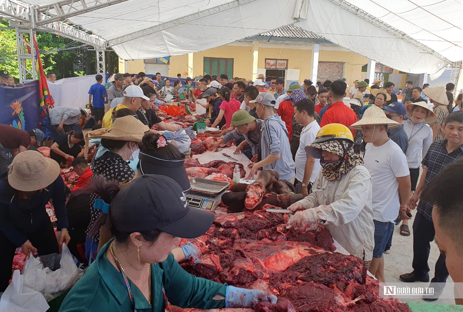 Văn hoá - Hải Phòng: Trâu nặng 1,3 tấn về nhất hội chọi trâu Đồ Sơn năm 2023 (Hình 9).