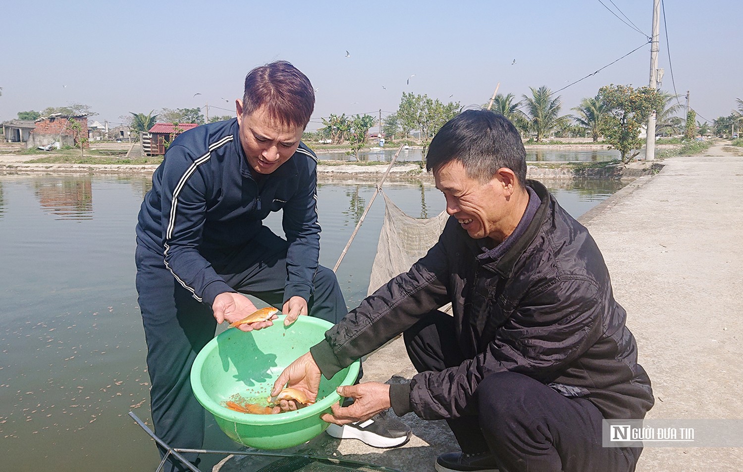 Tiêu dùng & Dư luận - Hải Phòng: Tìm đầu ra ổn định cho làng nghề cá giống lớn nhất miền Bắc (Hình 2).