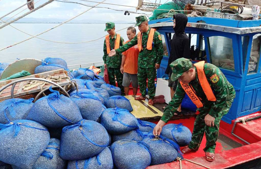 Hồ sơ điều tra - Quảng Ninh: Bắt giữ 7 tàu cá dùng ngư cụ cấm khai thác thủy sản