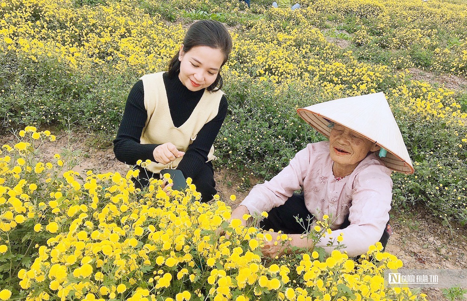 Dân sinh - Hải Phòng: “Nữ tướng” giúp đưa về những mùa vàng bội thu 