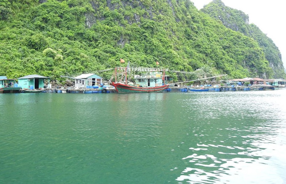 Môi trường - Quảng Ninh: Phương tiện gắn máy bị cấm hoạt động tại làng chài Cửa Vạn