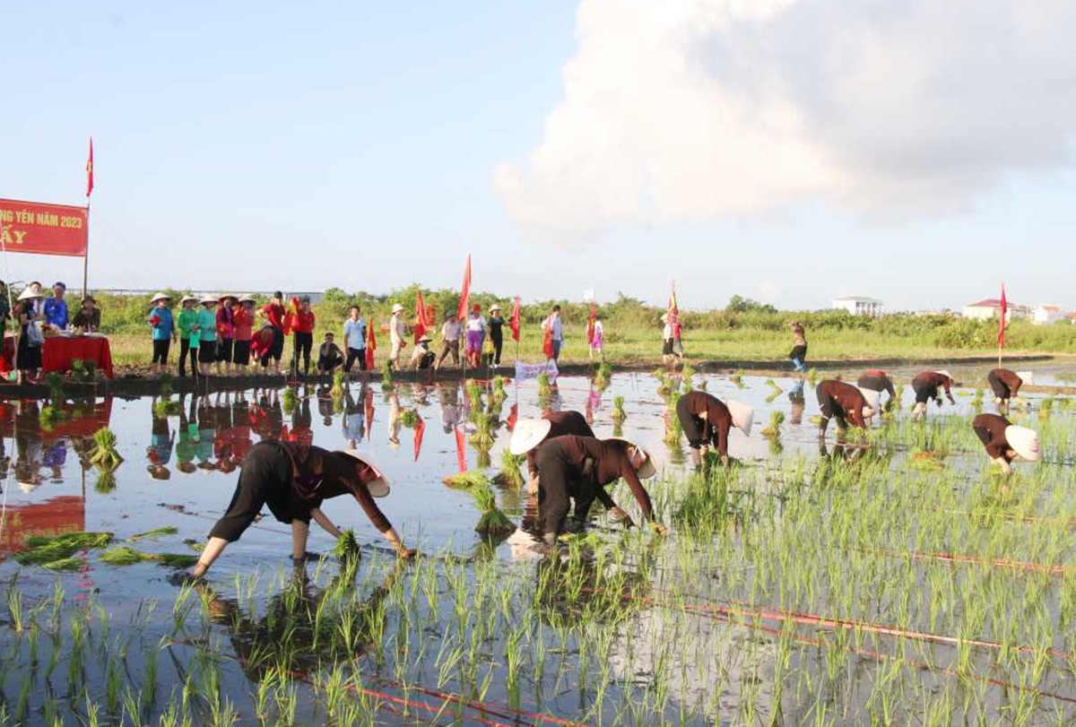 Văn hoá - Quảng Ninh có thêm 4 di sản văn hóa phi vật thể quốc gia