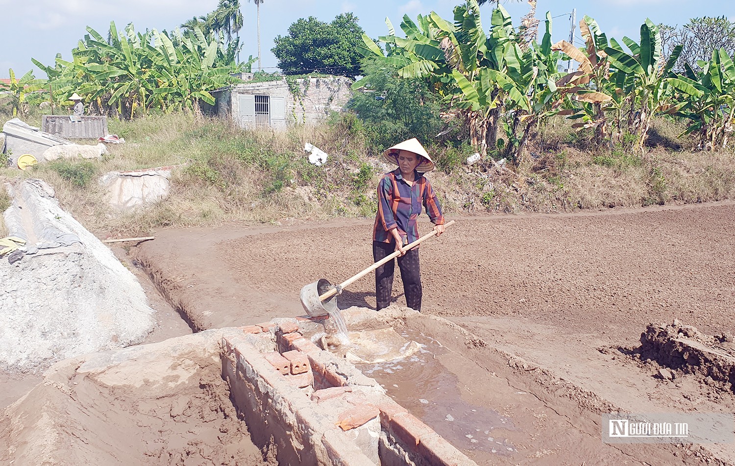 Dân sinh - Hải Phòng: Kẽo kẹt giữ nghề làm muối “chạt” (Hình 2).