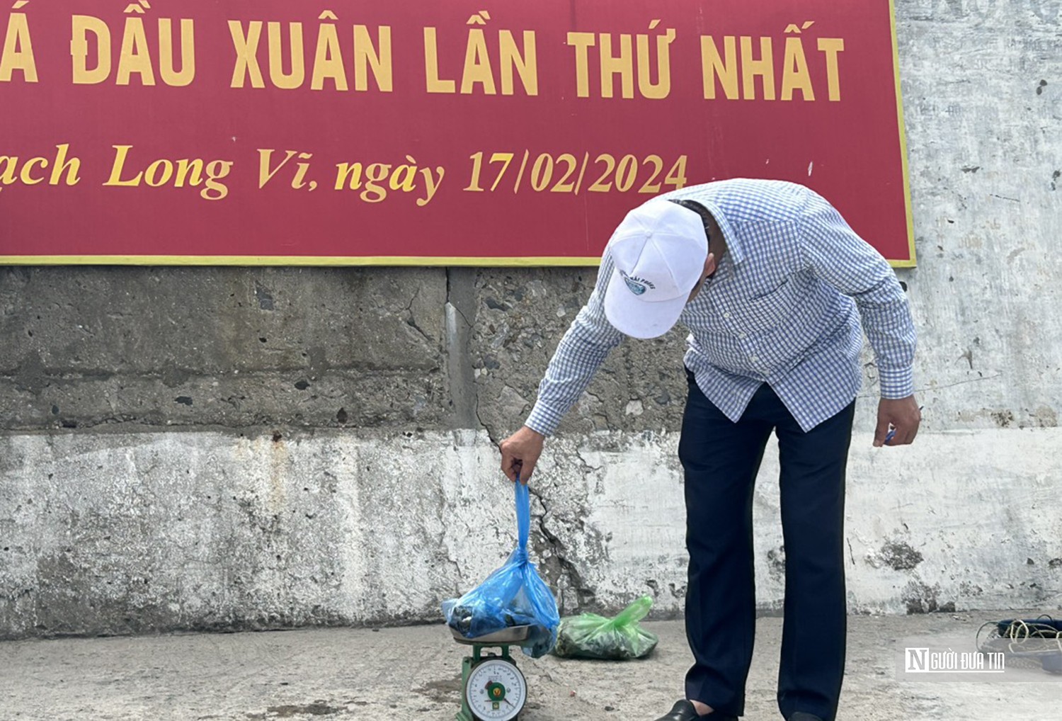 Văn hoá - Hải Phòng: Lần đầu tổ chức Hội thi câu cá ở đảo tiền tiêu Bạch Long Vĩ (Hình 5).