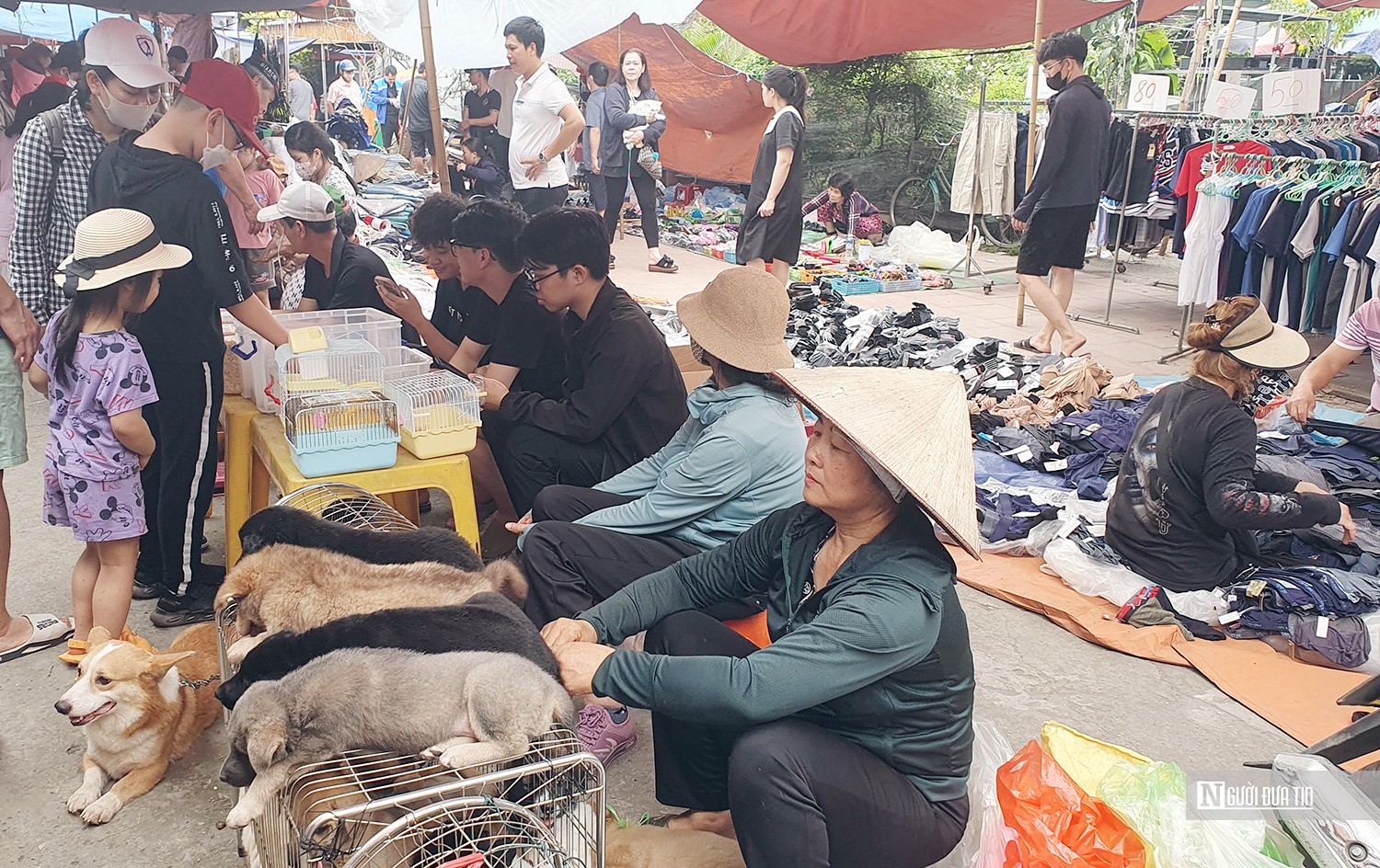 Văn hoá - Hải Phòng: Độc đáo chợ phiên mua may, bán rủi giữa lòng đô thị (Hình 7).