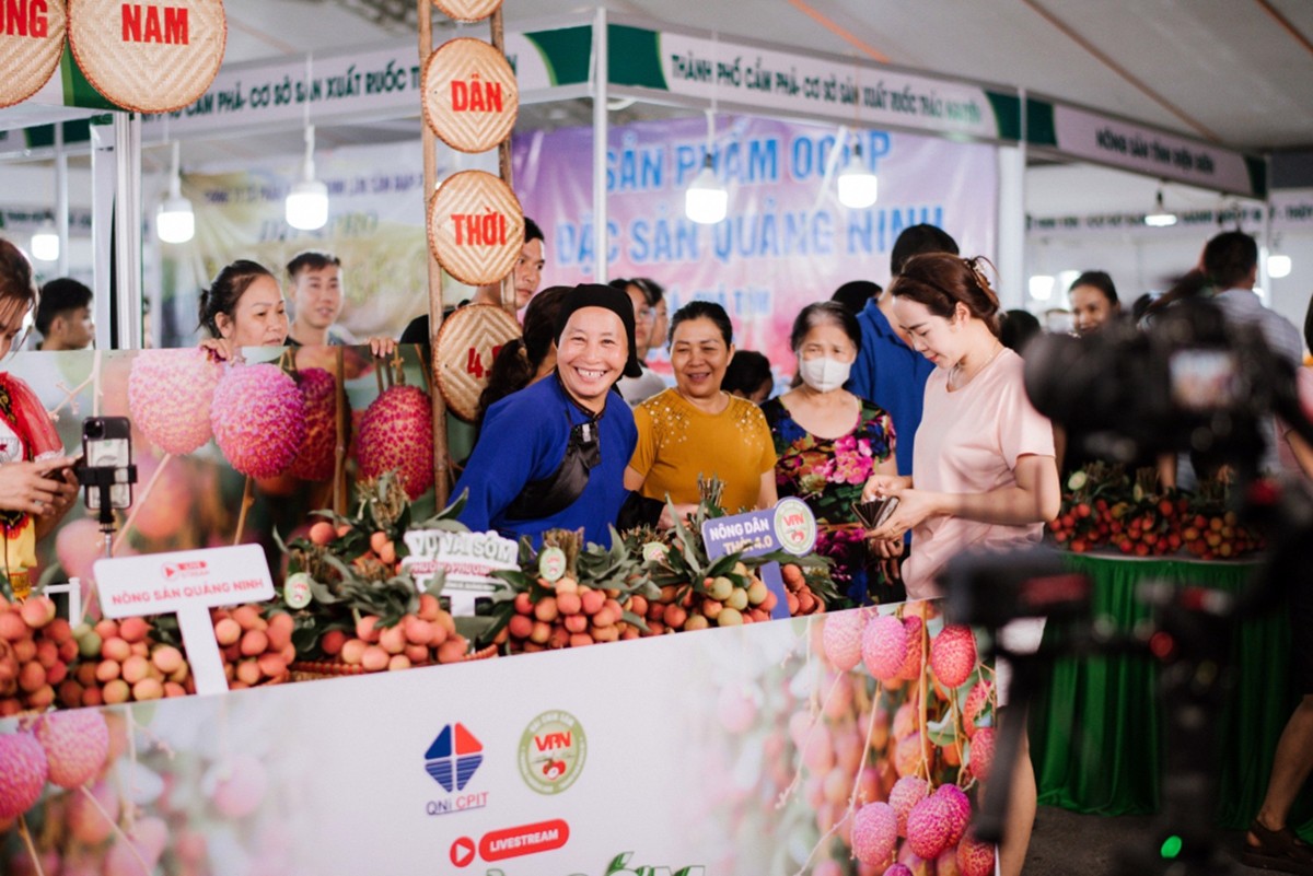 Tiêu dùng & Dư luận - Quảng Ninh: 400 ha vải chín sớm đem lại doanh thu 60 tỷ đồng