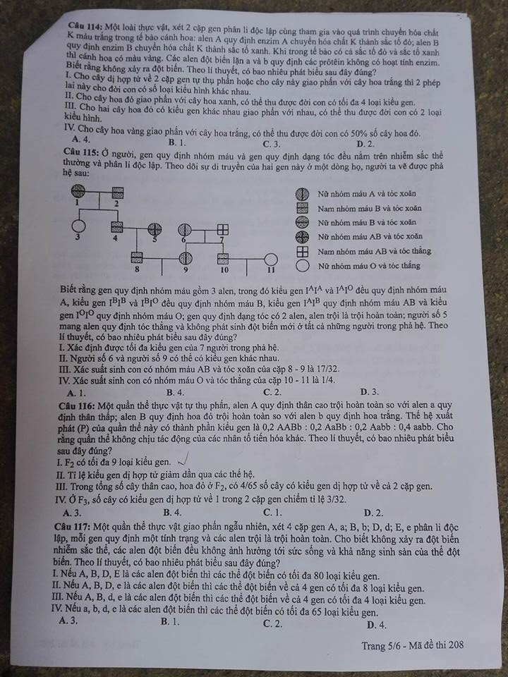 Đề thi, đáp án môn Sinh học mã đề 208  thi THPT Quốc gia 2018 chuẩn nhất (Hình 5).